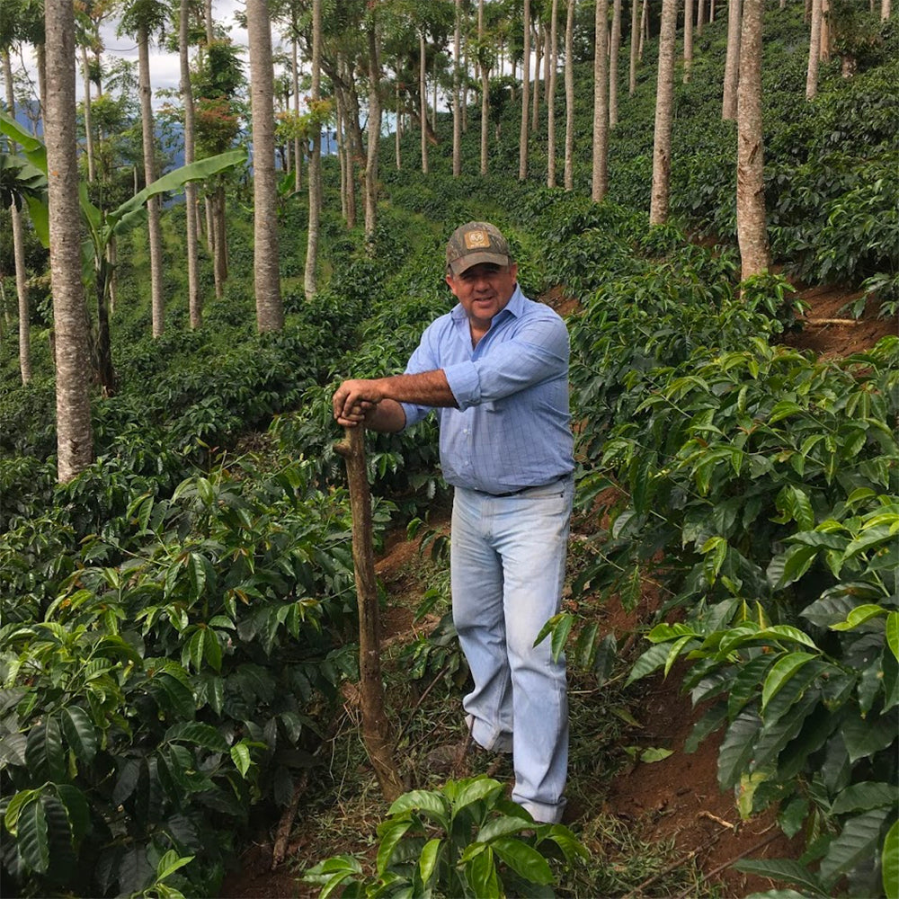 Coffee Roasters in fields